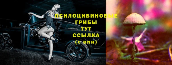 молекула духа Алексеевка