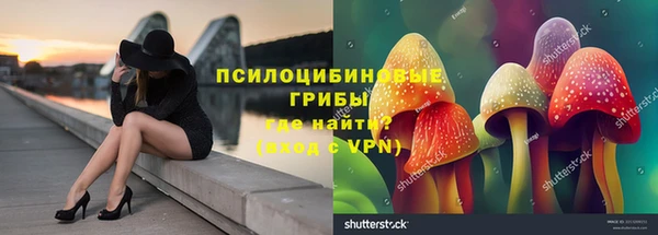 экстази Алексин