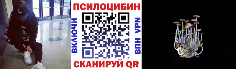 где продают   Петровск  Псилоцибиновые грибы MAGIC MUSHROOMS 